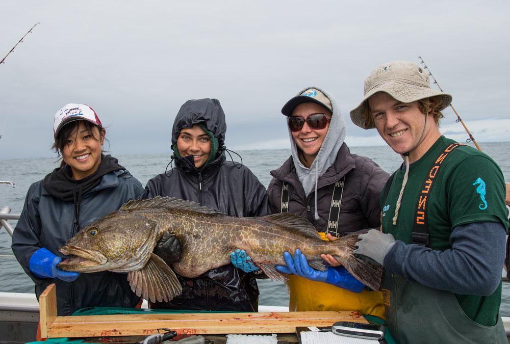 学生与大ling cod